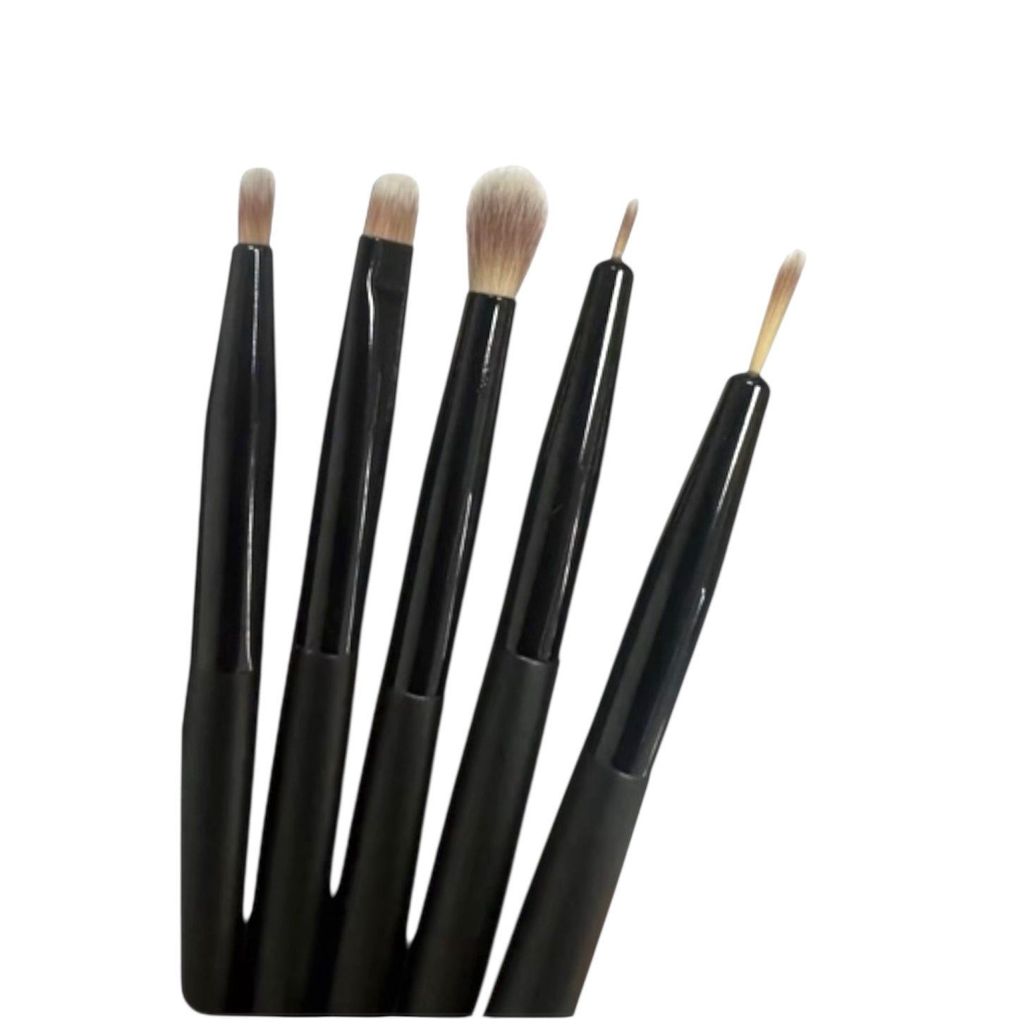 5 Piece Detail Brush Set